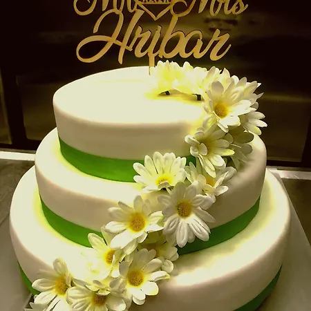 酒店 Galaksija Trebnje