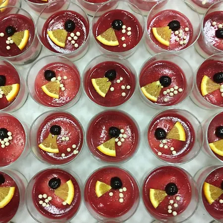 酒店 Galaksija Trebnje