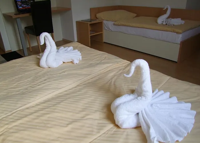 酒店 Galaksija Trebnje